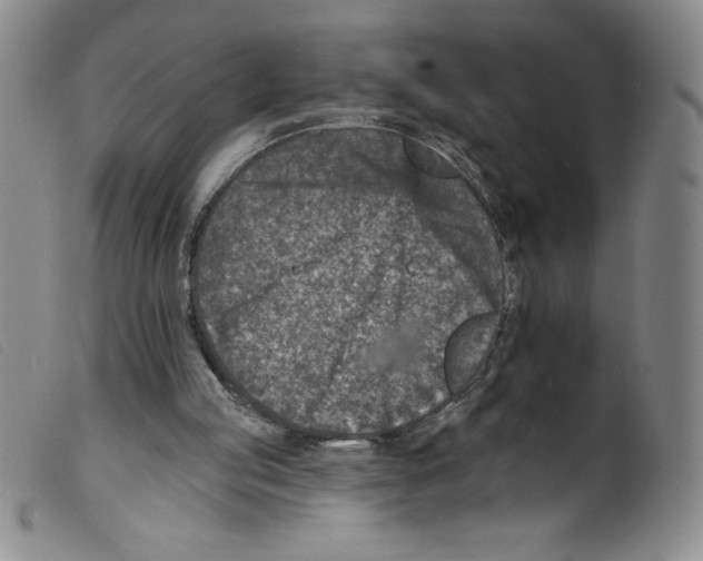 X0000098200053200805221551
