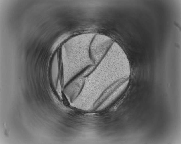 X0000098200054200805221551