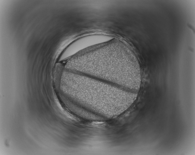 X0000098200055200805221551
