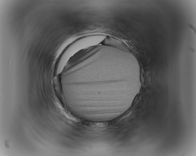 X0000098200056200805221551