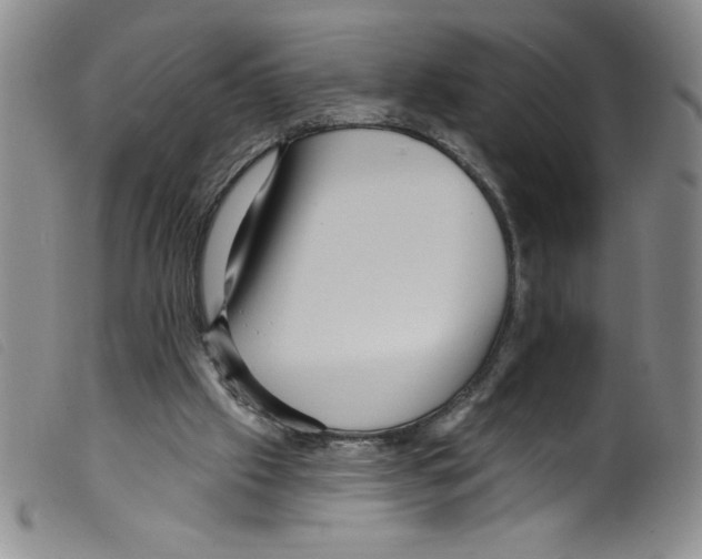 X0000098200057200805221551