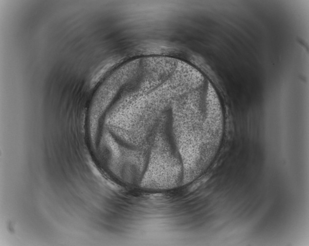 X0000098200058200805221551