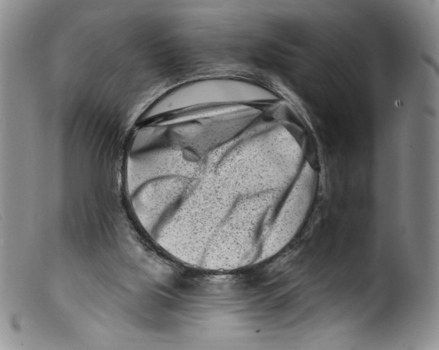 X0000098200059200805221551