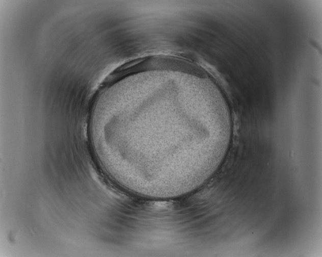 X0000098200060200805221551