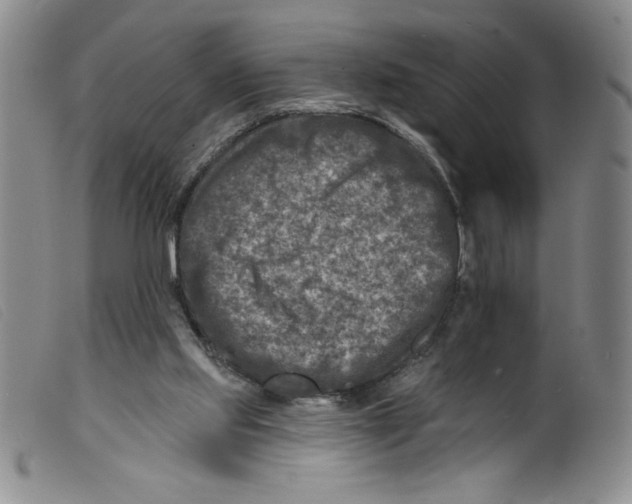 X0000098200061200805221551