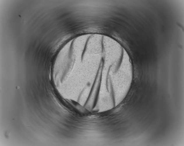 X0000098200062200805221551