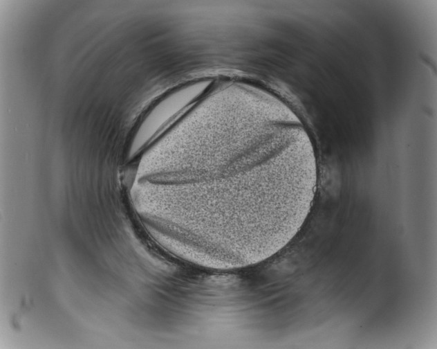 X0000098200063200805221551