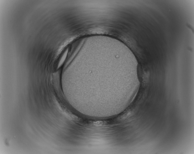 X0000098200064200805221551