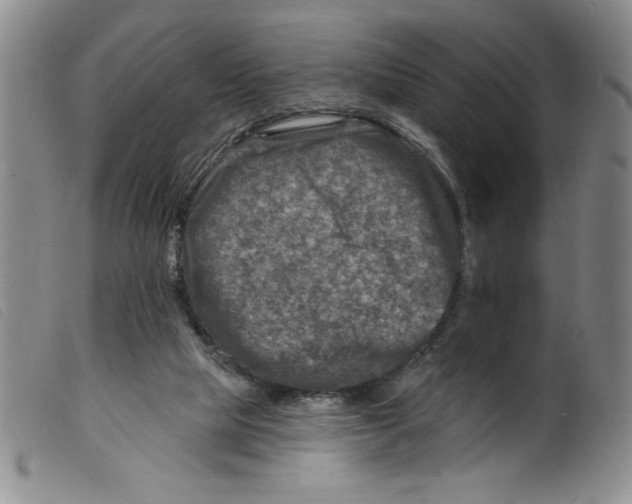 X0000098200065200805221551