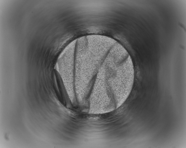 X0000098200066200805221551
