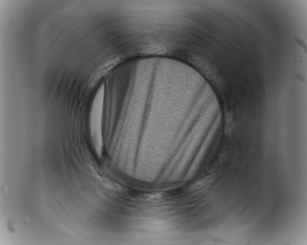 X0000098200068200805221551