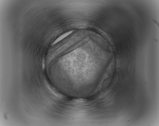 X0000098200069200805221551