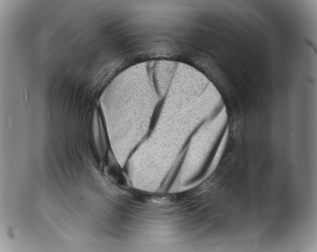 X0000098200070200805221551