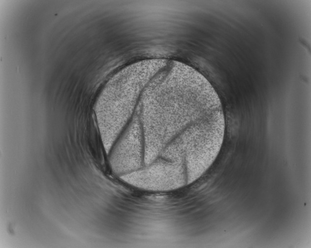 X0000098200071200805221551