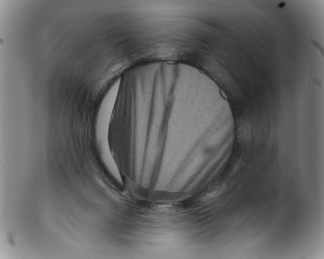 X0000098200072200805221551