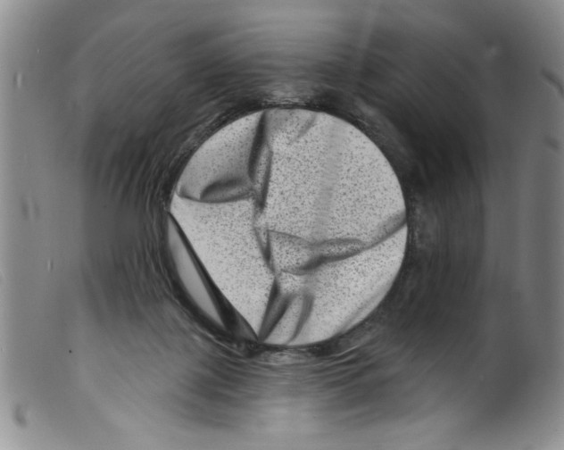 X0000098200075200805221552