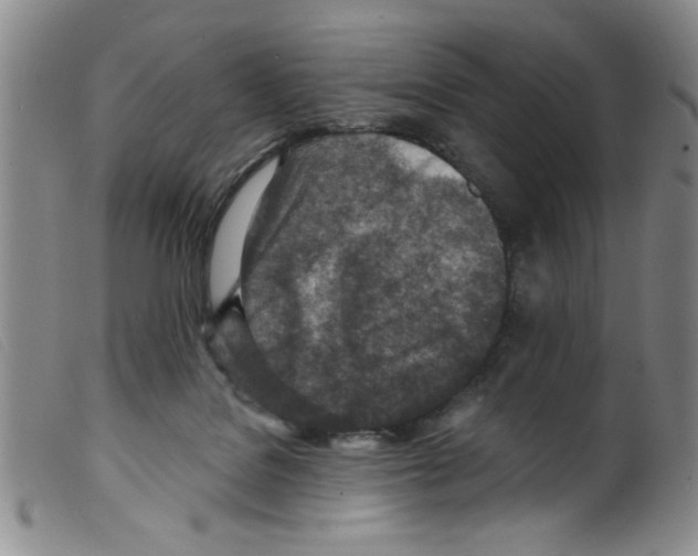 X0000098200076200805221552