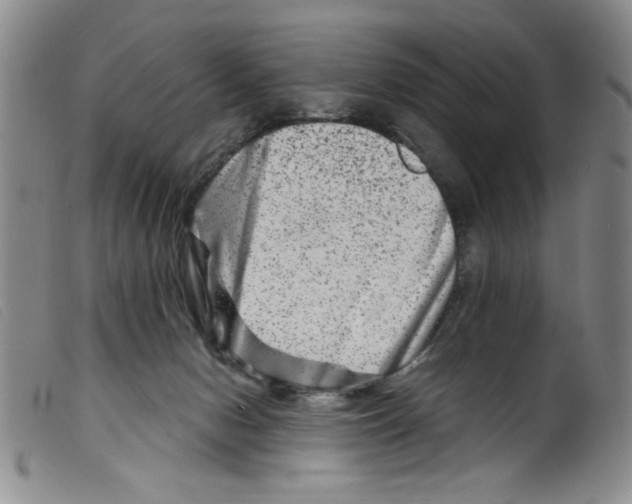 X0000098200078200805221552