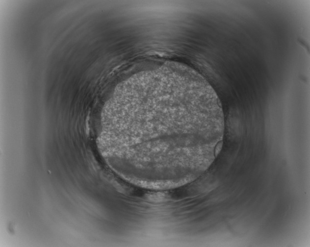 X0000098200079200805221552