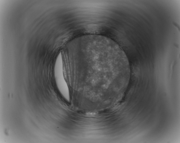 X0000098200080200805221552