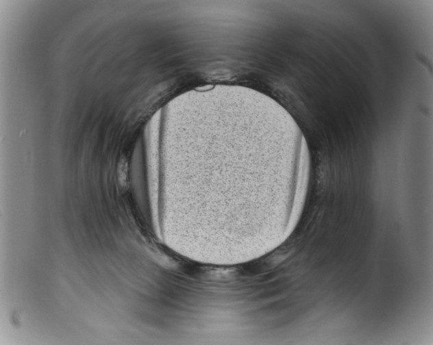 X0000098200081200805221552
