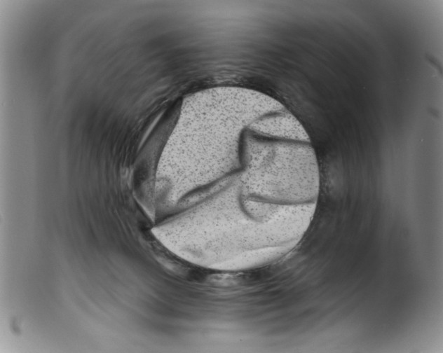 X0000098200082200805221552