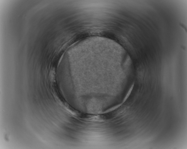 X0000098200083200805221552