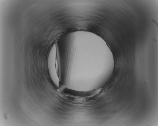 X0000098200084200805221552