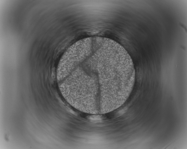 X0000098200085200805221552
