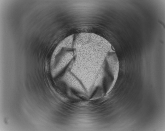 X0000098200086200805221552
