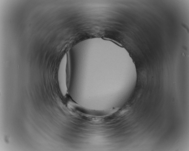 X0000098200088200805221552
