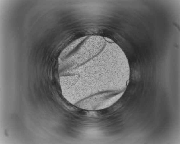 X0000098200091200805221552