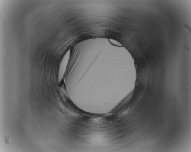 X0000098200092200805221552