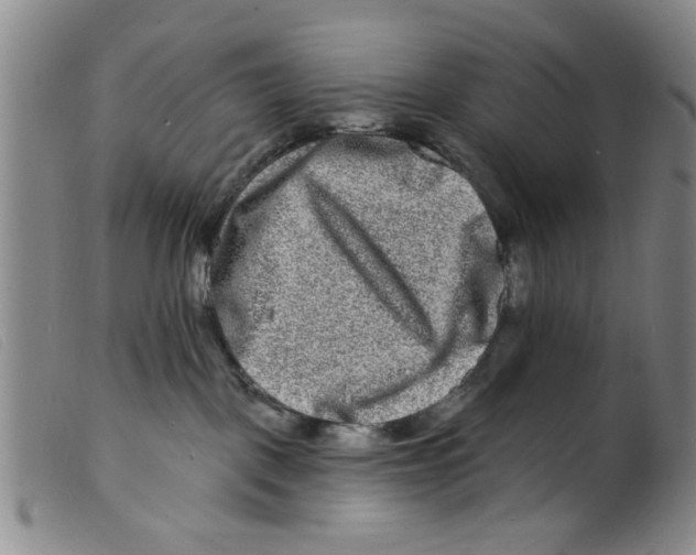 X0000098200093200805221552