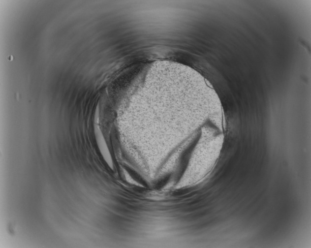 X0000098200094200805221552