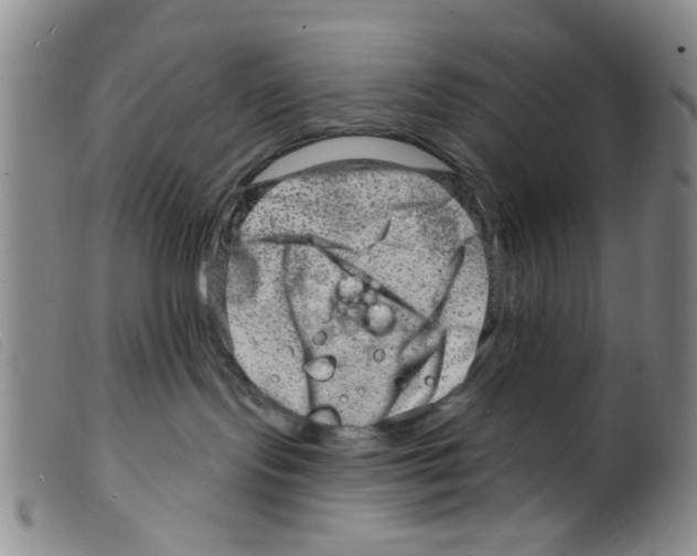 X0000098200095200805221552