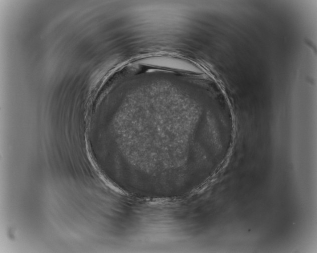 X0000098200097200805221551