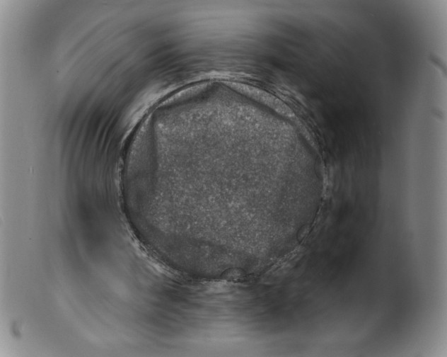 X0000098200098200805221551