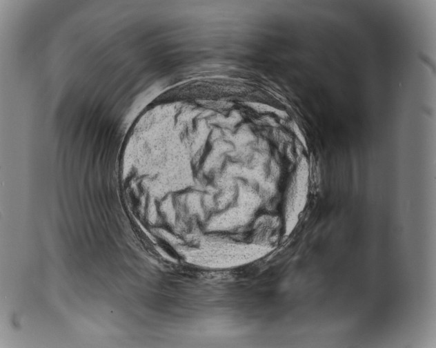 X0000098200099200805221551