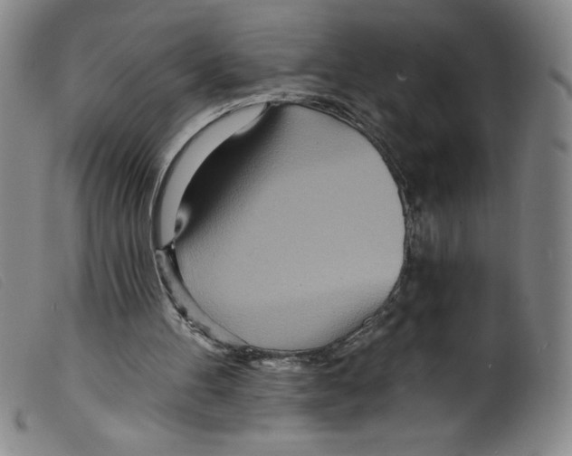 X0000098200100200805221551