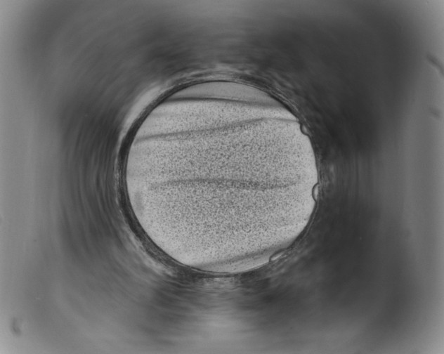 X0000098200102200805221551