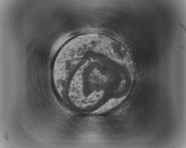 X0000098200103200805221551