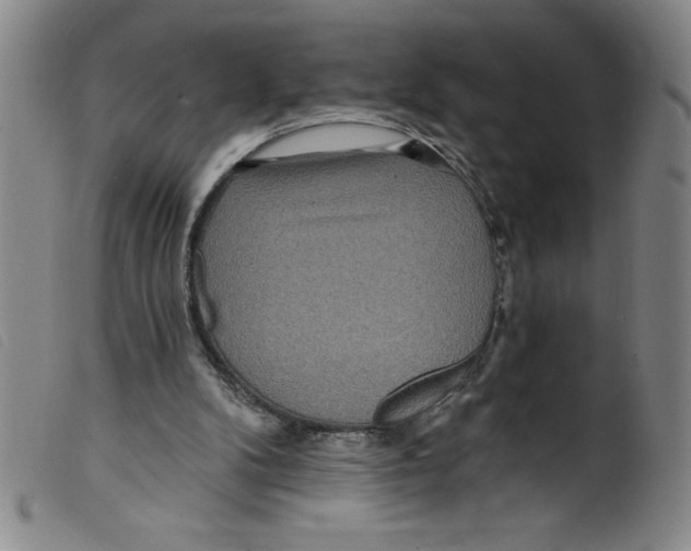 X0000098200104200805221551