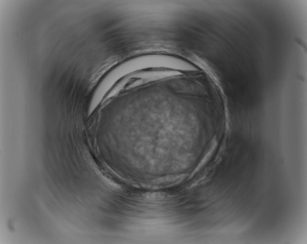 X0000098200105200805221551