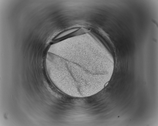 X0000098200106200805221551