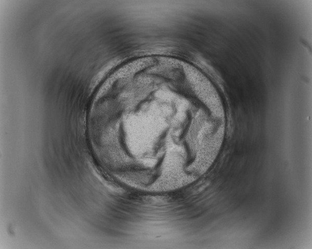 X0000098200107200805221551