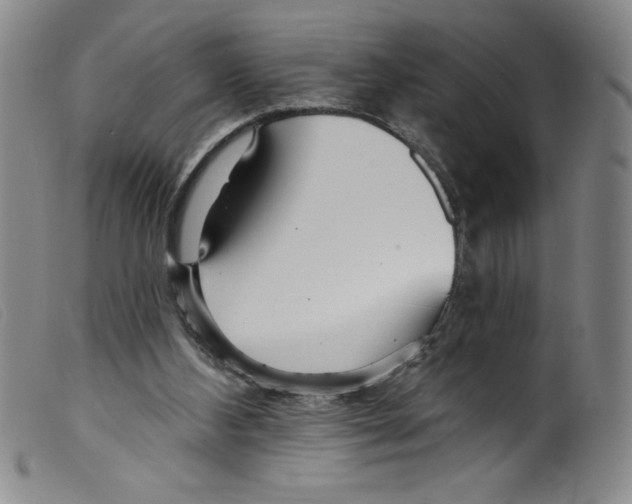 X0000098200108200805221551