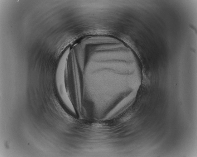 X0000098200109200805221551