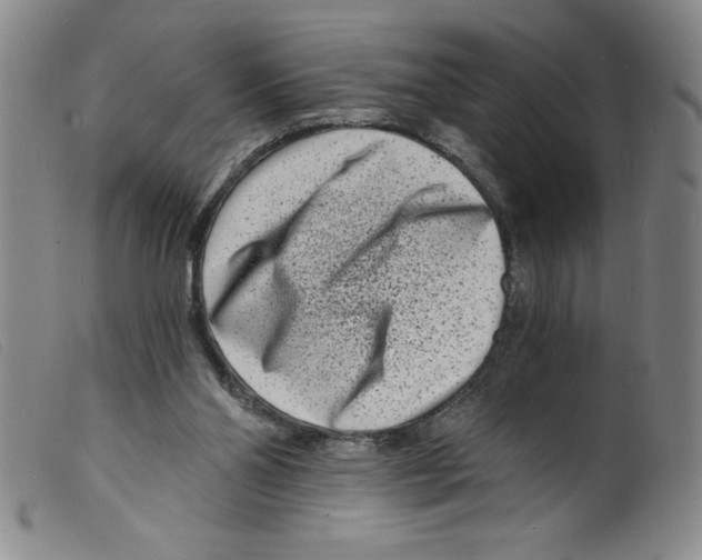 X0000098200110200805221551