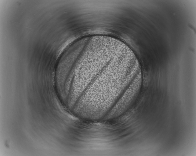 X0000098200111200805221551